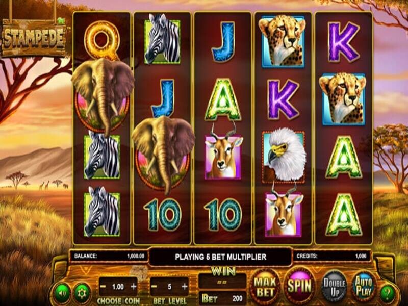 Experience The Best Real Cash Stampede Slot In Canada 2024