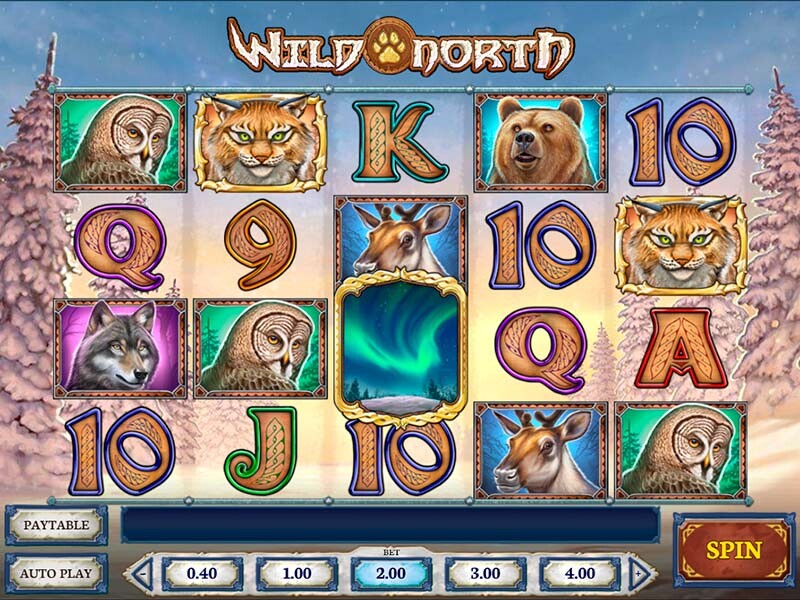 Experience The Best Real Cash Wild North Slot In Canada 2024